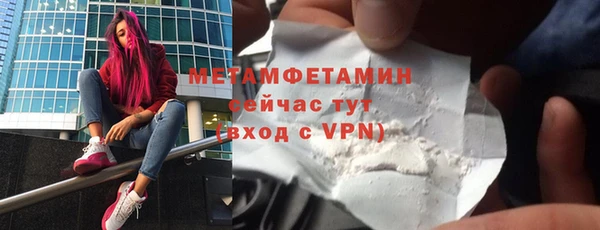 прущие грибы Беломорск