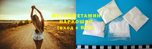 прущие грибы Беломорск