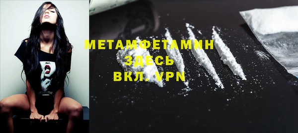 прущие грибы Беломорск