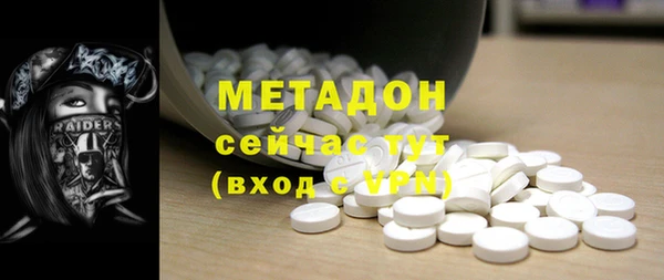 прущие грибы Беломорск