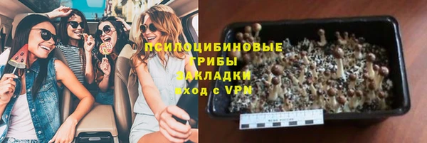 гидропоника Белокуриха