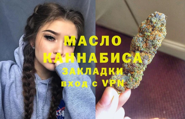 гидра Снежногорск