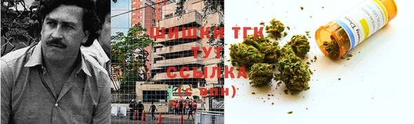 прущие грибы Беломорск