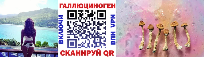 Псилоцибиновые грибы GOLDEN TEACHER  Белогорск 